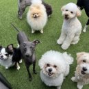 놀다가개유치원 이미지