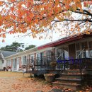 반딧불목장 이미지