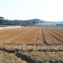 서산해미공인중개사사무소 이미지