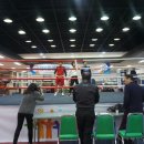 구룡복싱클럽 이미지