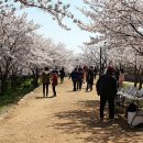 조명군총 이미지