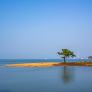 구봉도입구 이미지