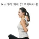 단요가 이미지