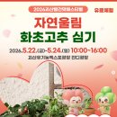 화양글로벌 | 2026 괴산빨간맛페스티벌 완벽 가이드｜드론쇼·YB 콘서트·전국노래자랑·반딧불이 체험 총정리