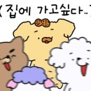 스피드세탁수선