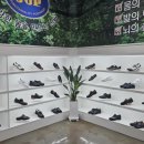 제이지피 이미지