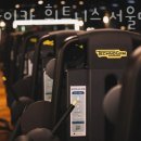 자마이카 휘트니스 이미지