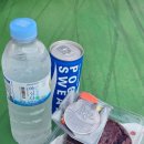 배**-5 | 광진구연맹회장배 육상대회 마라톤 5km 후기