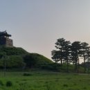 친한행정사사무소 이미지