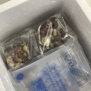 장가영양밥집 | 당뇨떡 장가손떡 무설탕으로 체중조절 아침식사 대용