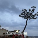 마레펜션 | 강화도 마레616 풀빌라 펜션 101호 단체 숙박 솔직후기