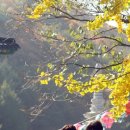 추억의 그림자 이미지