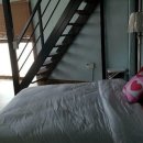 파리하우스 이미지