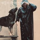 개뭉치 반려견 훈련센터 이미지