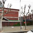 롯데로지스틱스(주) 이미지