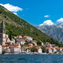 백조카써비스 이미지