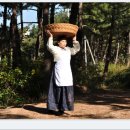 차가미소짓는곳 이미지