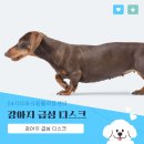 더파크동물의료센터 | 동물병원 응급실, 서울 24시간 더파크동물의료센터에서 알려드리는 강아지 급성 디스크