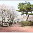 안흥유원지 이미지