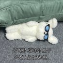 내원정사 네이버블로그