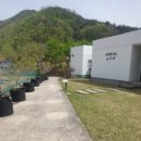 강릉부동산오늘 공인중개사사무소 이미지