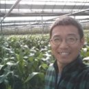 초당농장 이미지