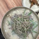 [세종/대전]곱창칼국수 솔직후기!풍자 또간집_논산팔복순대