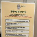 동행 in 협재 이미지