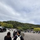 자담치킨용인 - 용인시 기흥구 신구로53번길 10-10 | 자담치킨용인