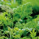 경희팔팔한의원 이미지