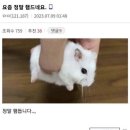 [영어도서관] 7월 방학 특강 무엇을 타고 갈까? | 시험이 가면 또 모고가 오고