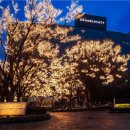 주식회사 서울코퍼레이션 이미지