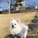 러브아지 이미지