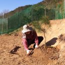 호범농장 이미지