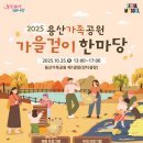 용산-현장-792 이미지