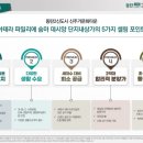 데시앙 세탁 이미지