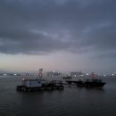 군산시니어클럽 이미지