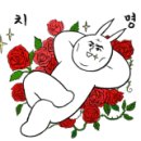정부청사터미널정류소 이미지