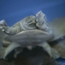 바다동물병원 이미지