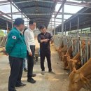 한우농장 이미지