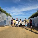 점박이 물범가족 이미지