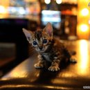 협진농장 이미지