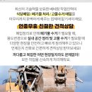 금강비철 이미지