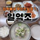 일억조 | ✈️ 제주 태교여행 | 제주 향토음식 접짝뼈국 [일억조] 처음 먹어본 후기