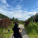 입실게임랜드 | 평창 리조트 휘닉스파크 온담 조식, 오락실, 근처 가볼 만한 곳