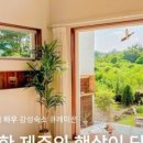 노루하루민박