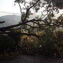 상중리중촌 이미지