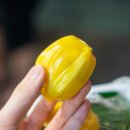 비치스파랜드식당