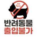 카페856 네이버블로그