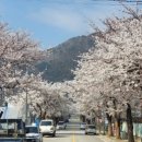 비룡종합광고